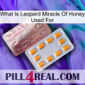 What Is Leopard Miracle Of Honey Used For new13